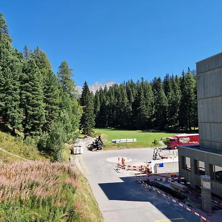 דירה Flora - Sunflower *