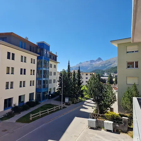 Flora - Sunflower São Moritz