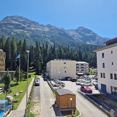 Flora - Sunflower * St Moritz