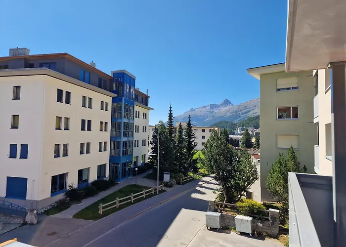 Flora - Sunflower St. Moritz